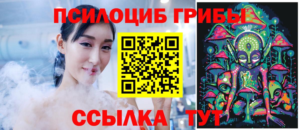 Псилоцибиновые грибы MAGIC MUSHROOMS  Вход с VPN  Кропоткин 