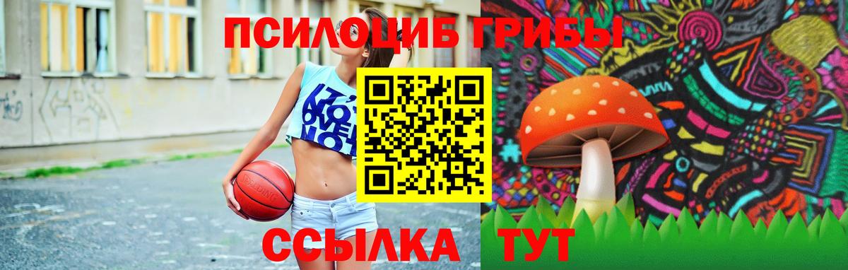 Галлюциногенные грибы GOLDEN TEACHER Кропоткин